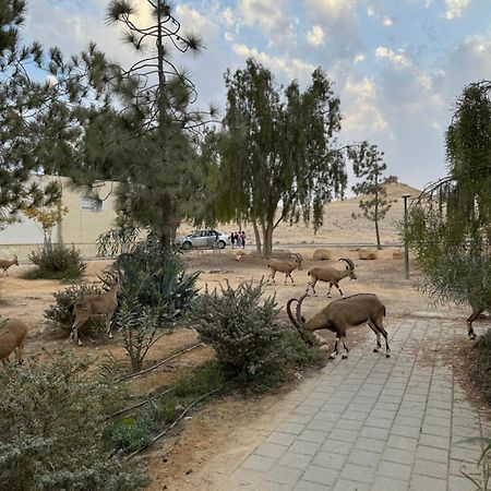 הבית המדברי Apartment Mitzpe Ramon Exterior photo